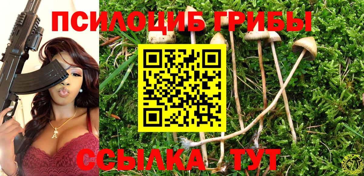 Галлюциногенные грибы Magic Shrooms  Вход с VPN  Михайловка 