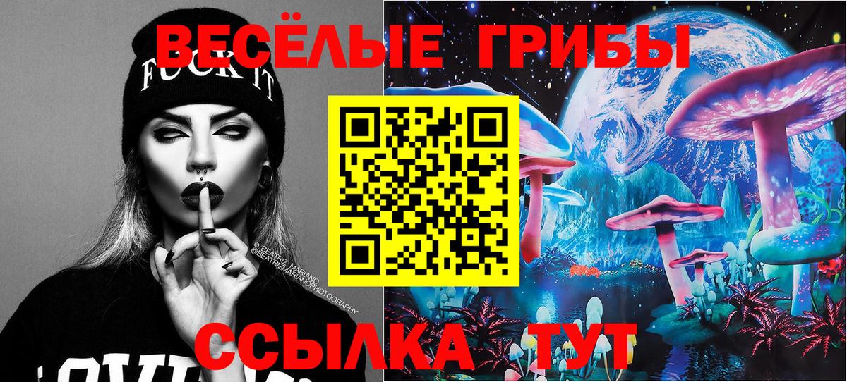 Псилоцибиновые грибы ЛСД Михайловка